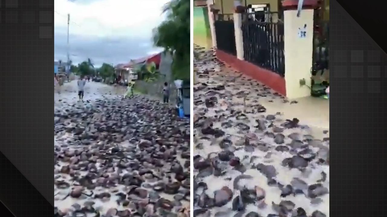 Enchentes na Indonésia.