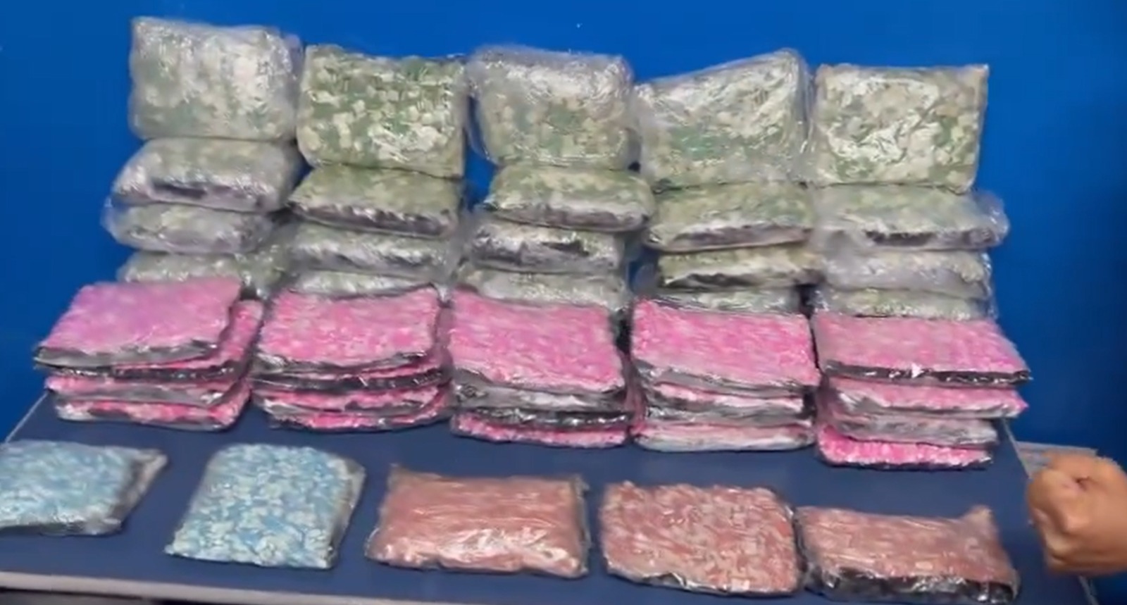 (Foto: Divulgação/ PMERJ)