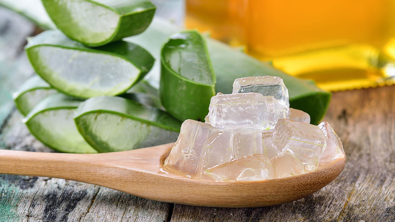 O suco de babosa que combina sabor leve com benefícios à saúde