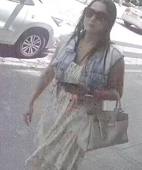 Advogada Anic Peixoto Herdy.