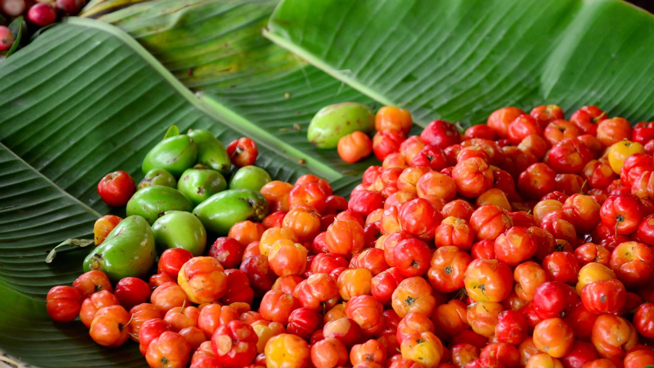 Os benefícios e curiosidades da pitanga para sua saúde