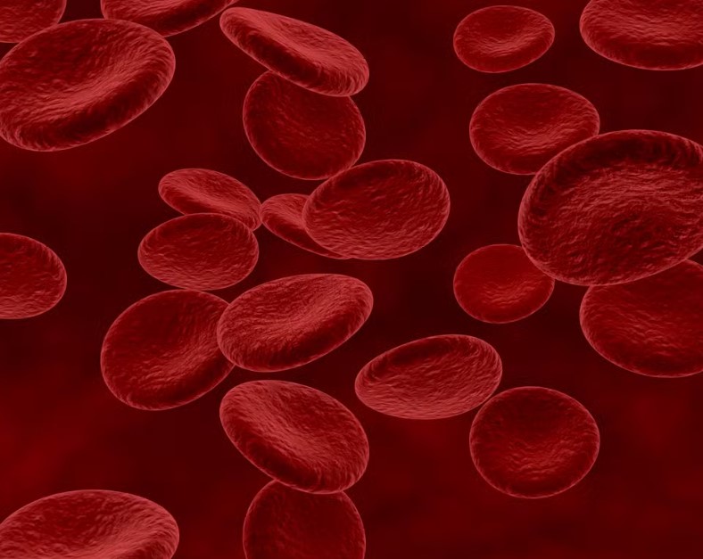 Novo tipo sanguíneo é descoberto.