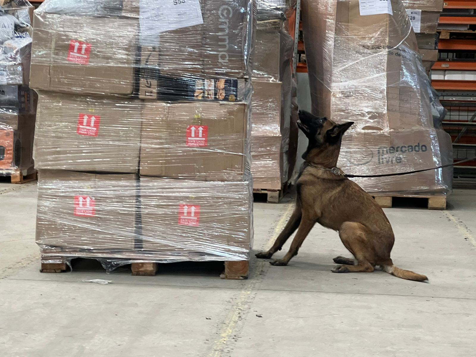 (Foto: Divulgação)