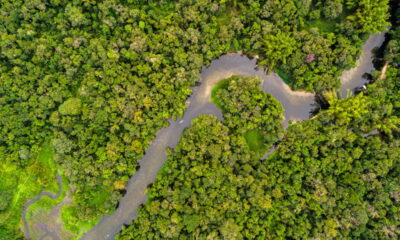 O enigma de Ratanabá: Desvendando os segredos da Amazônia
