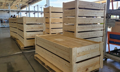 Com protótipo da Casa Firjan, JLR produz 100 camas feitas de pallets de madeira para o Rio Grande do Sul