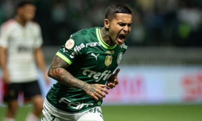 Dudu, ídolo do verdão, considera mudança em 2025