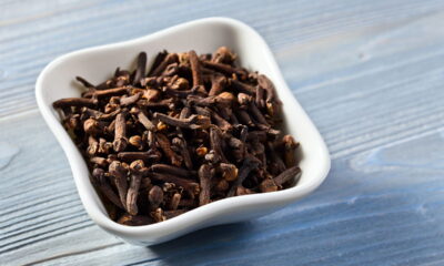 Plante seu próprio cravo-da-índia! Dicas cruciais para o sucesso no cultivo