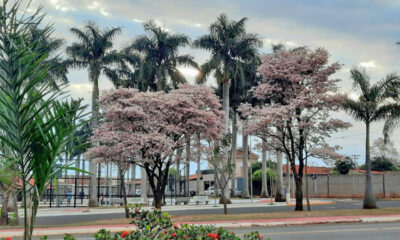Essa cidade foi eleita a melhor do Brasil para morar e o motivo surpreende