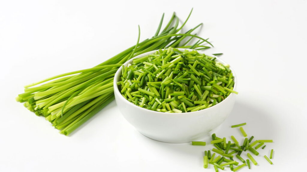 O truque simples para ter cebolinha o ano inteiro sem gastar muito