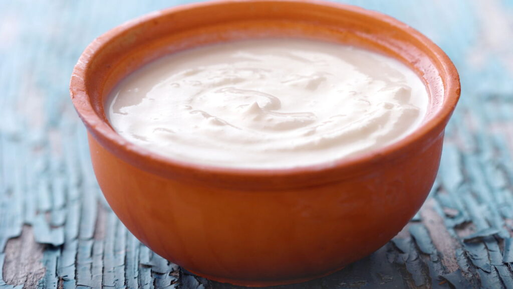 9 alimentos probióticos que curam seu intestino e sua saúde