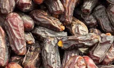 Sabor e doçura natural: Aproveite o que as tâmaras podem oferecer