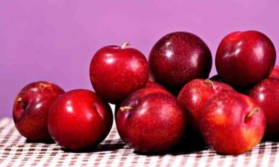 Poderosa, ameixa reúne antioxidantes, vitaminas, minerais e fibras