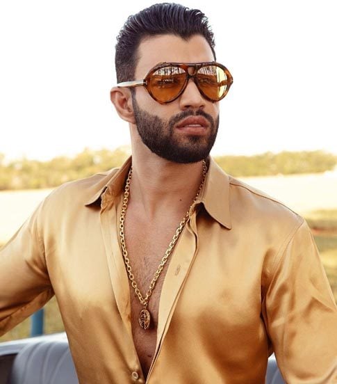 Artistas que se aventuraram na política