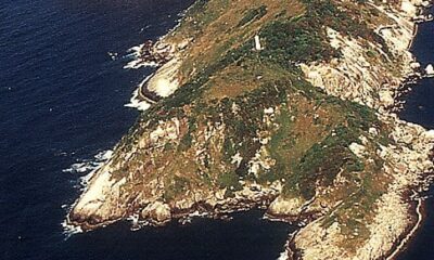 Ilha brasileira, infestada de cobras venenosas, só pode ser visitada por pesquisadores