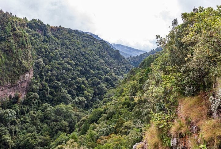 Ninguém merece: veja os bichos mais feios do planeta