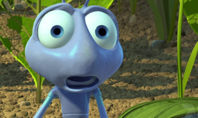 Animais com ‘superpoderes’: saiba o que eles fazem de diferente