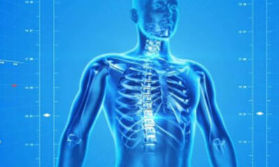 Alimentos com ferro que protegem o corpo e previnem a anemia