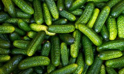 Pepino é alimento leve, pouco calórico e ideal para apoiar dietas