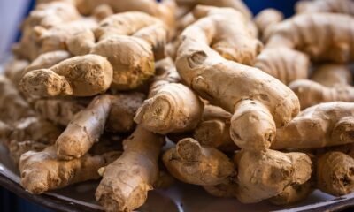 Toque na culinária e na saúde: saiba usar o gengibre
