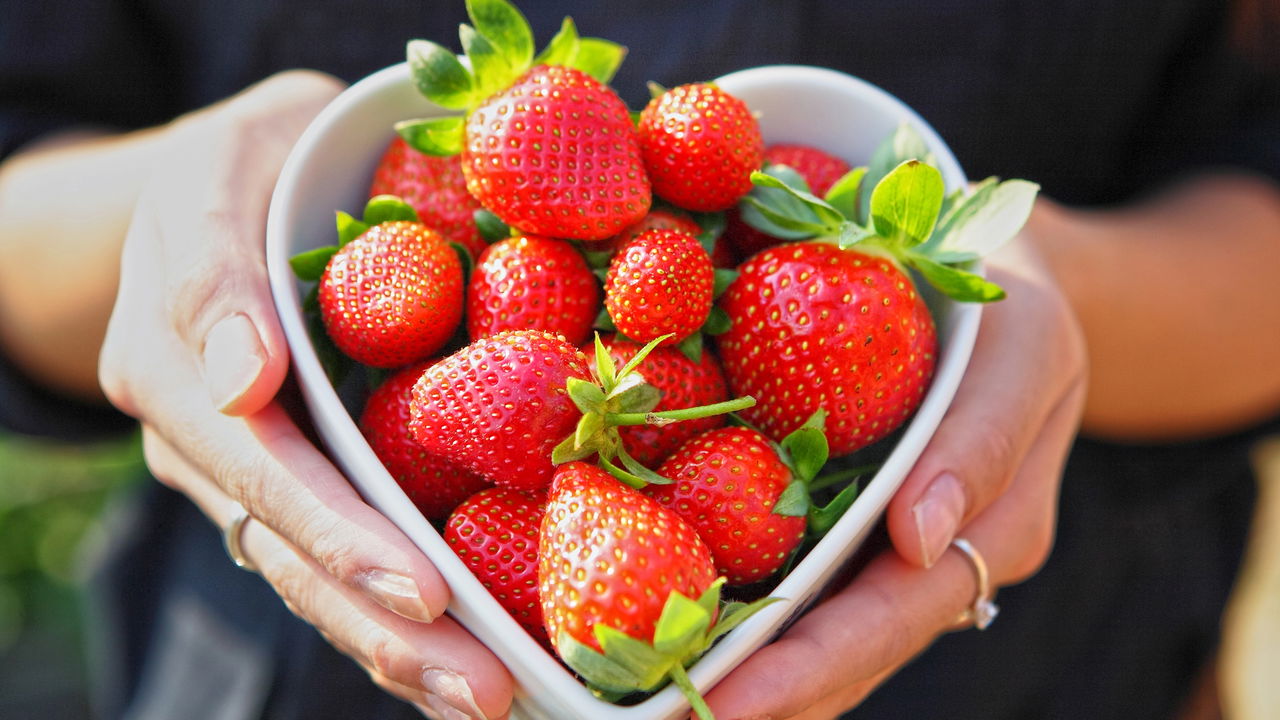 Plante morangos no apartamento! Seu guia completo para frutas frescas em casa