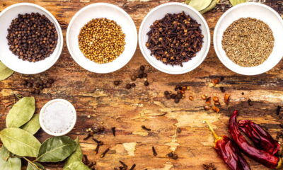 ANVISA proíbe pimenta famosa no Brasil por CONTAMINAÇÃO com pelo de RATO!