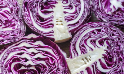 O que ninguém te conta sobre plantar repolho roxo em casa