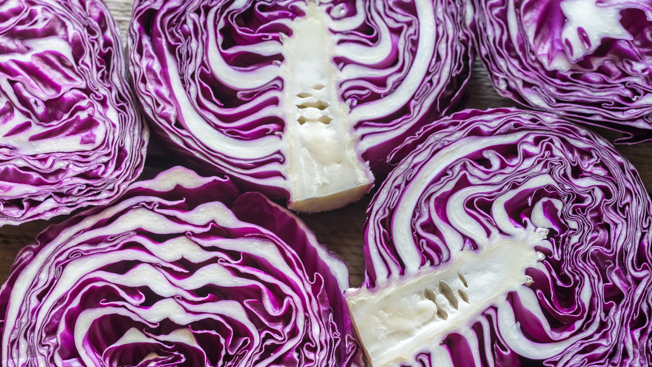 O que ninguém te conta sobre plantar repolho roxo em casa