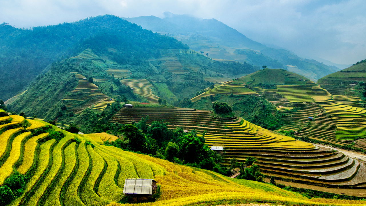 Veja como o Vietnã se tornou um exemplo de crescimento econômico!