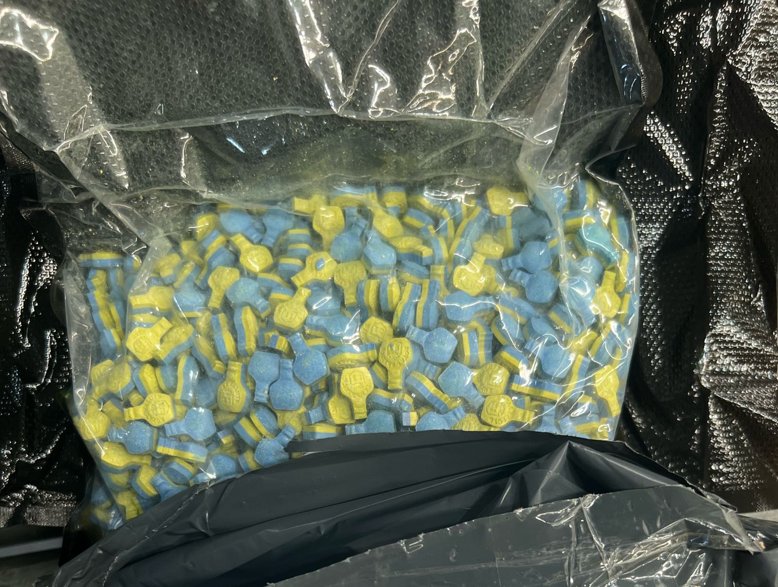 (Foto: Divulgação)