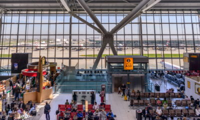 “Bicho de pelúcia” revela ligação inesperada com a natureza