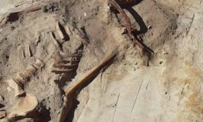 Arqueólogos descobrem restos de ‘vampira’: foice no pescoço e cadeado no pé