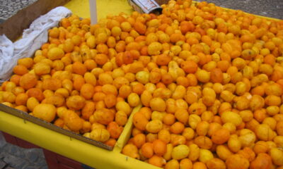 Frutas brasileiras que nem todos sabem que existem