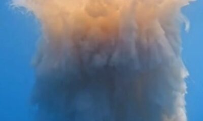 Água-viva gigantesca e rara causa espanto no litoral do Brasil