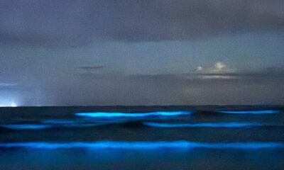 Bioluminescência cria espetáculo de brilho no mar; saiba onde encontrar no país