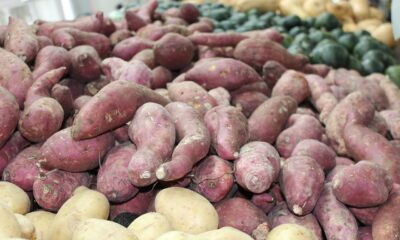 Nutritiva e funcional, batata-doce passa do prato tradicional