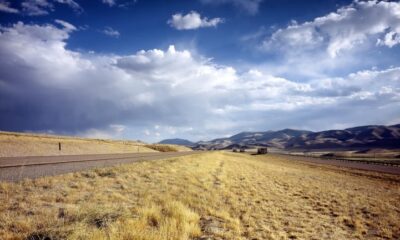 Operação surpreendente lançou castores com paraquedas e entrou para a história