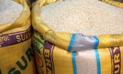 Arroz tem mais variedades do que você imagina; saiba