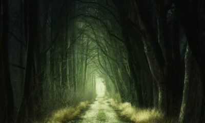 Entre segredos e enigmas: lugares do mundo que despertam fascínio e curiosidade