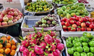 Frutas também podem ser fonte de proteína: Veja as mais ricas no nutriente