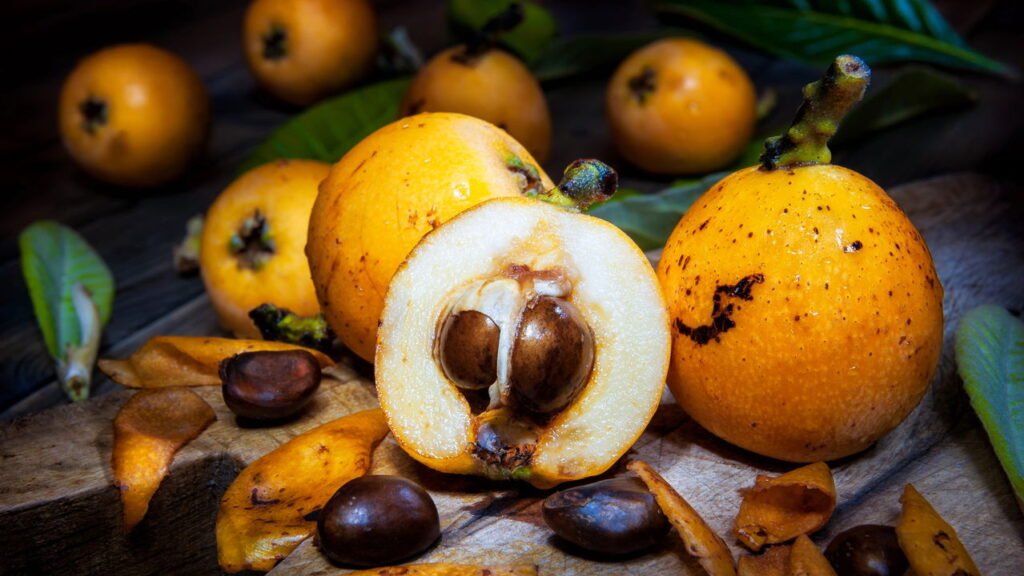 As dicas essenciais para cultivar nêsperas no seu jardim