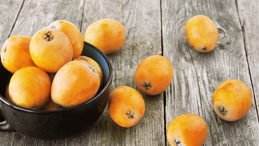 As dicas essenciais para cultivar nêsperas no seu jardim