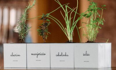 Crie uma horta caseira na sua cozinha e transforme suas receitas