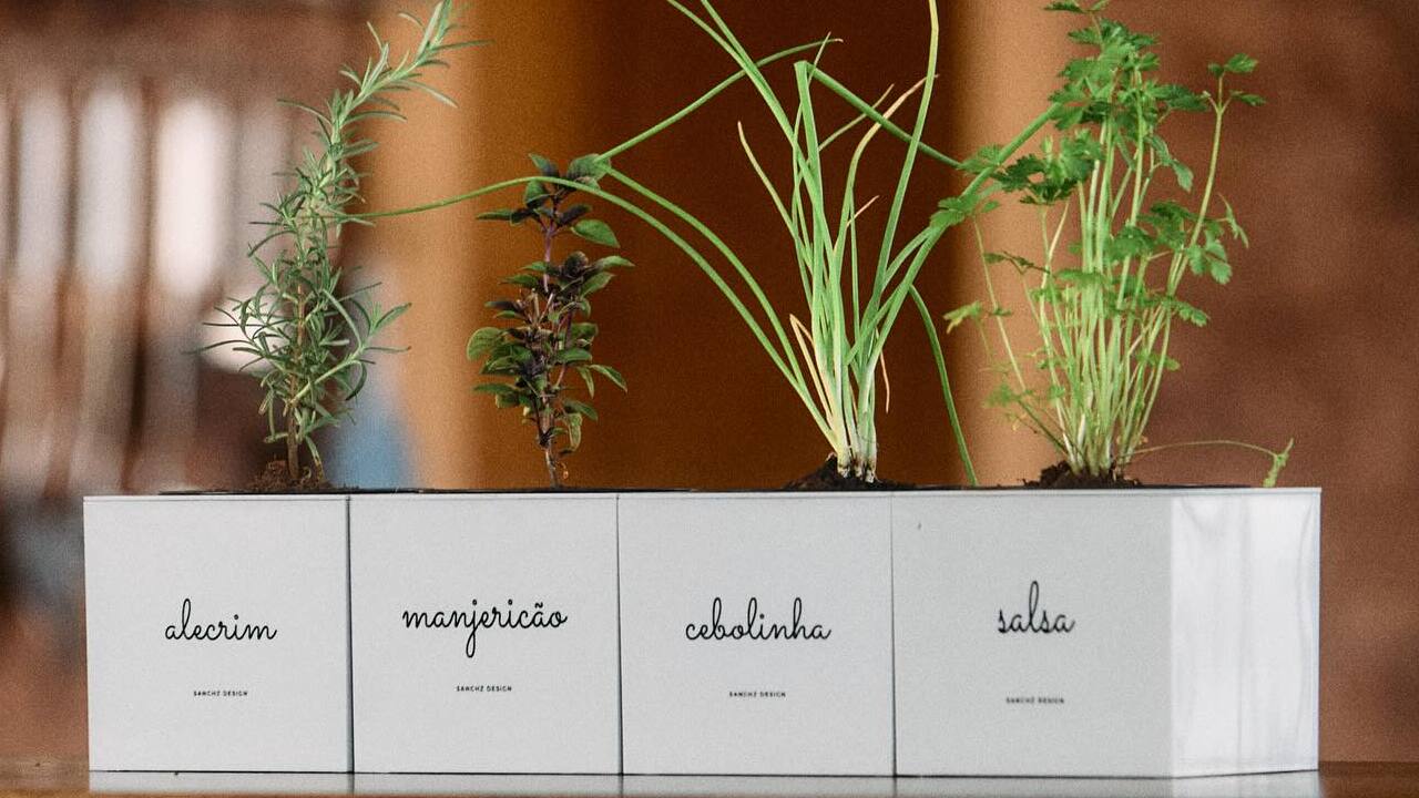 Crie uma horta caseira na sua cozinha e transforme suas receitas
