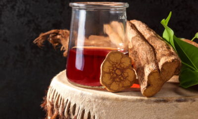 Ayahuasca! O chá alucinógeno e como ele age nos rituais