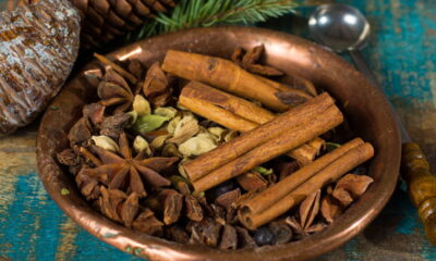 Plante sua própria canela! O guia definitivo para ter o tempero fresco em casa!