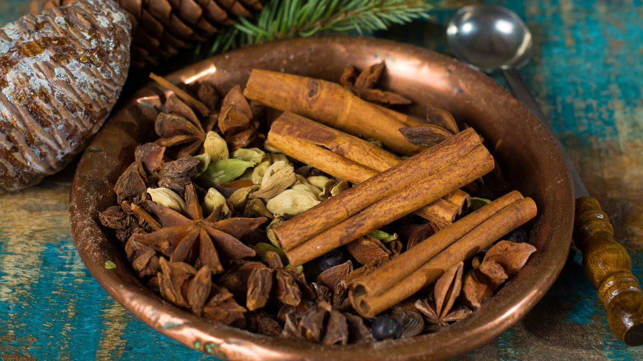 Plante sua própria canela! O guia definitivo para ter o tempero fresco em casa!