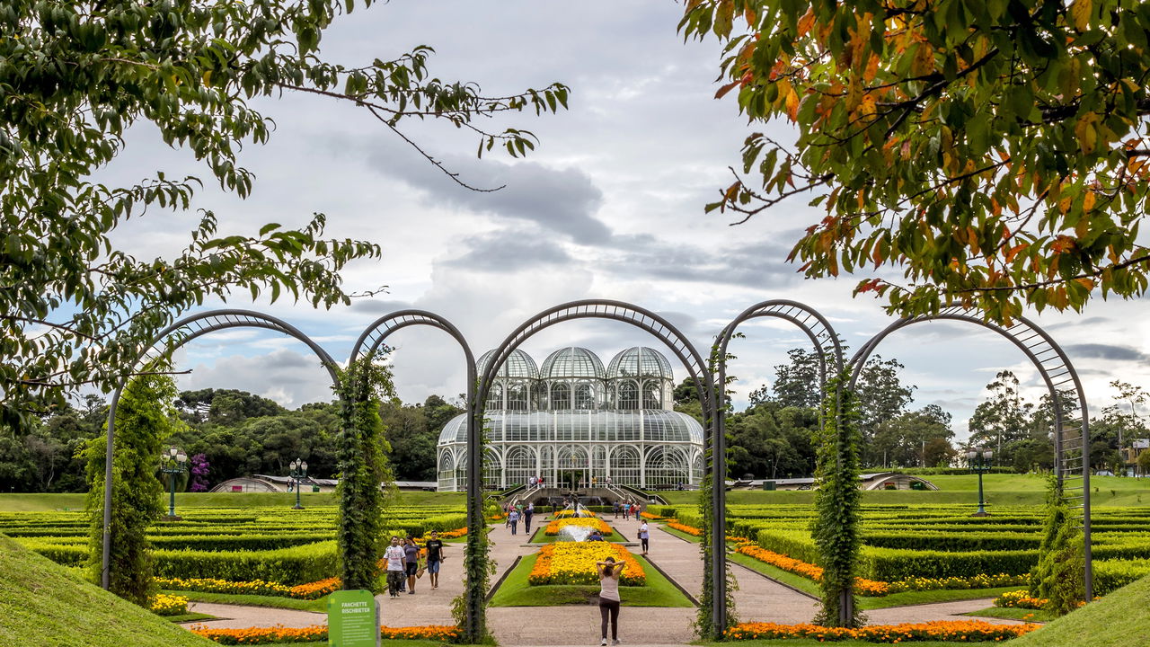 Curitiba surpreende visitantes com atrações únicas e história viva