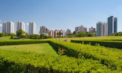 Entenda por que Curitiba é considerada um exemplo de urbanismo sustentável