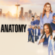 Você vai se surpreender com o salário desses atores de Grey’s Anatomy
