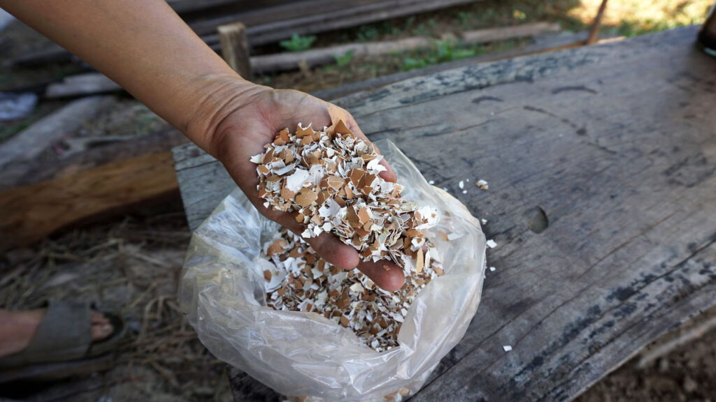 Melhor jeito de fazer adubo orgânico em casa